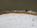 Photomicrograph of cross-section in reflected light (magnification 100x). This minute sample was taken from decoration of the frame and shows that original gilding was overpainted.